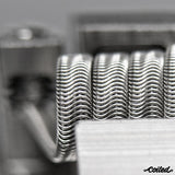 MTL CLAPTON By COILED